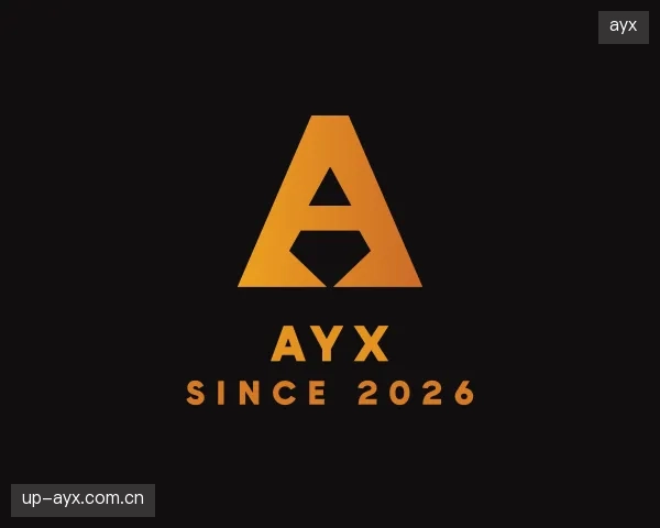 关于ayx团队